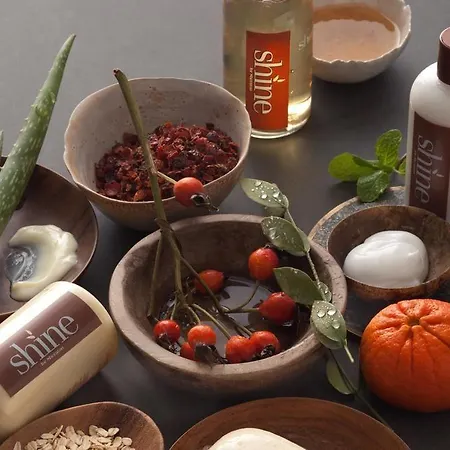 Sheraton Pelikan מלון