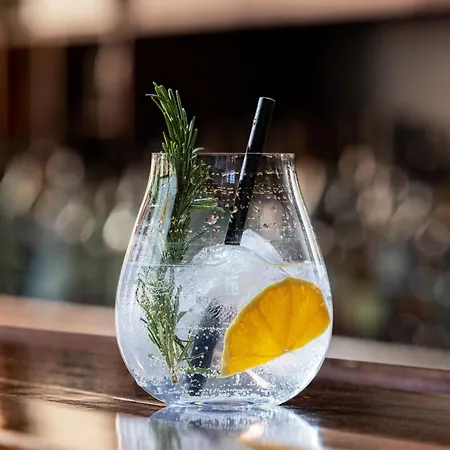 Sheraton Pelikan מלון הנובר