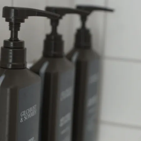 מלון Sheraton Pelikan הנובר