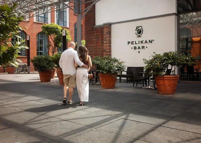 汉诺威佩里坎喜来登酒店 酒店 汉诺威