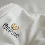 Sheraton Pelikan Hotel Hannover